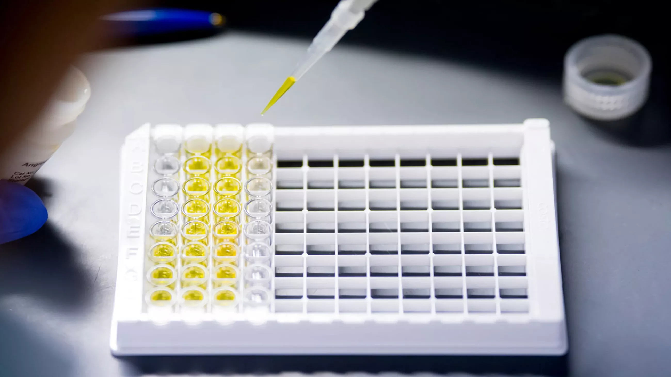 The Transplant and Stem Cell Immunobiology (TSI) Laboratory 